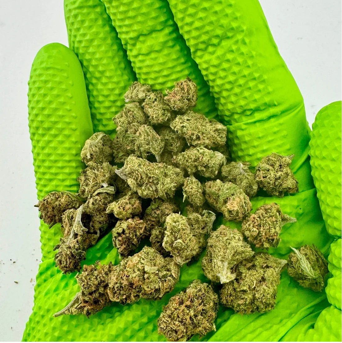 Thca Flower